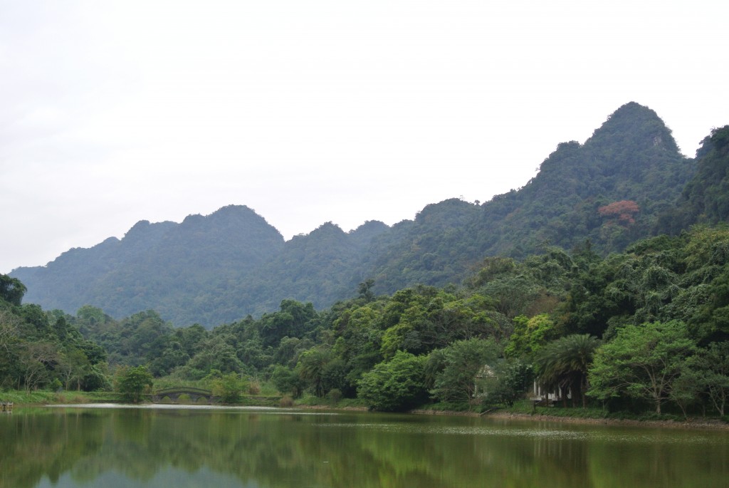 Cuc Phuong国立公園
