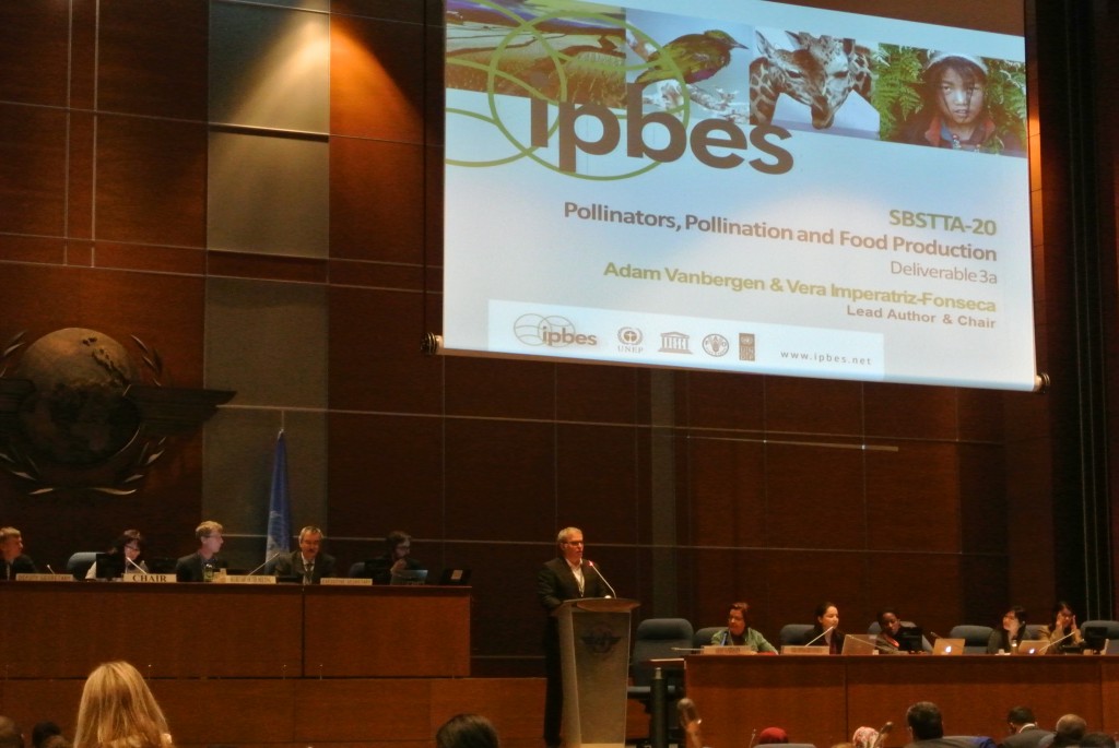 花粉媒介者・授粉・食糧安全保証に関するIPBESのアセスメントのレビュー
