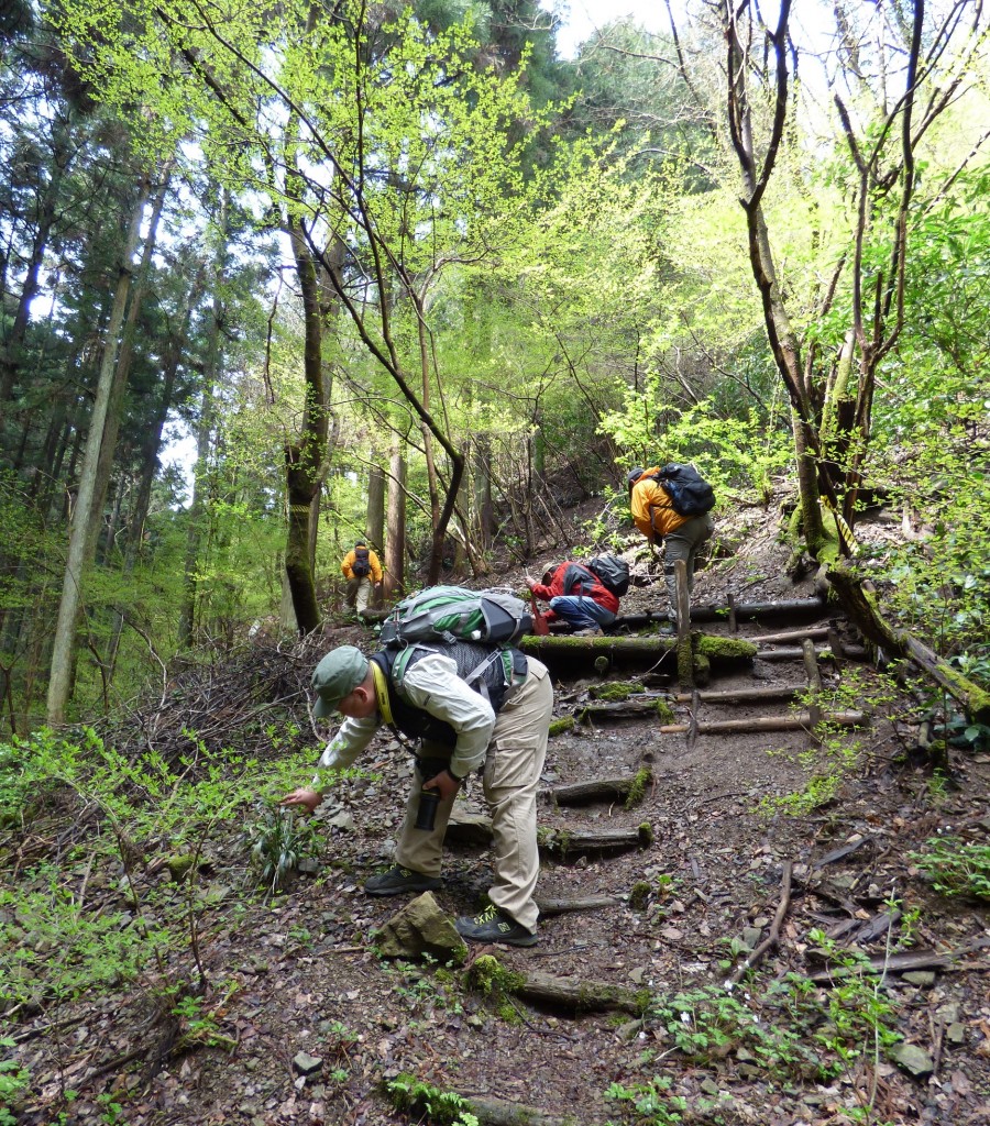 高尾日影沢では特定非営利活動法人　森と人のネットワークさんが森林保全活動の一貫で観察路の整備を行います。