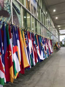 生物多様性条約COP13の会議場前には各国の国旗が並べられています。