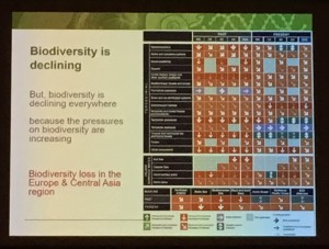 生物多様性の傾向を示す図（IPBES地域レポート）ほぼすべてで、レッドシグナル