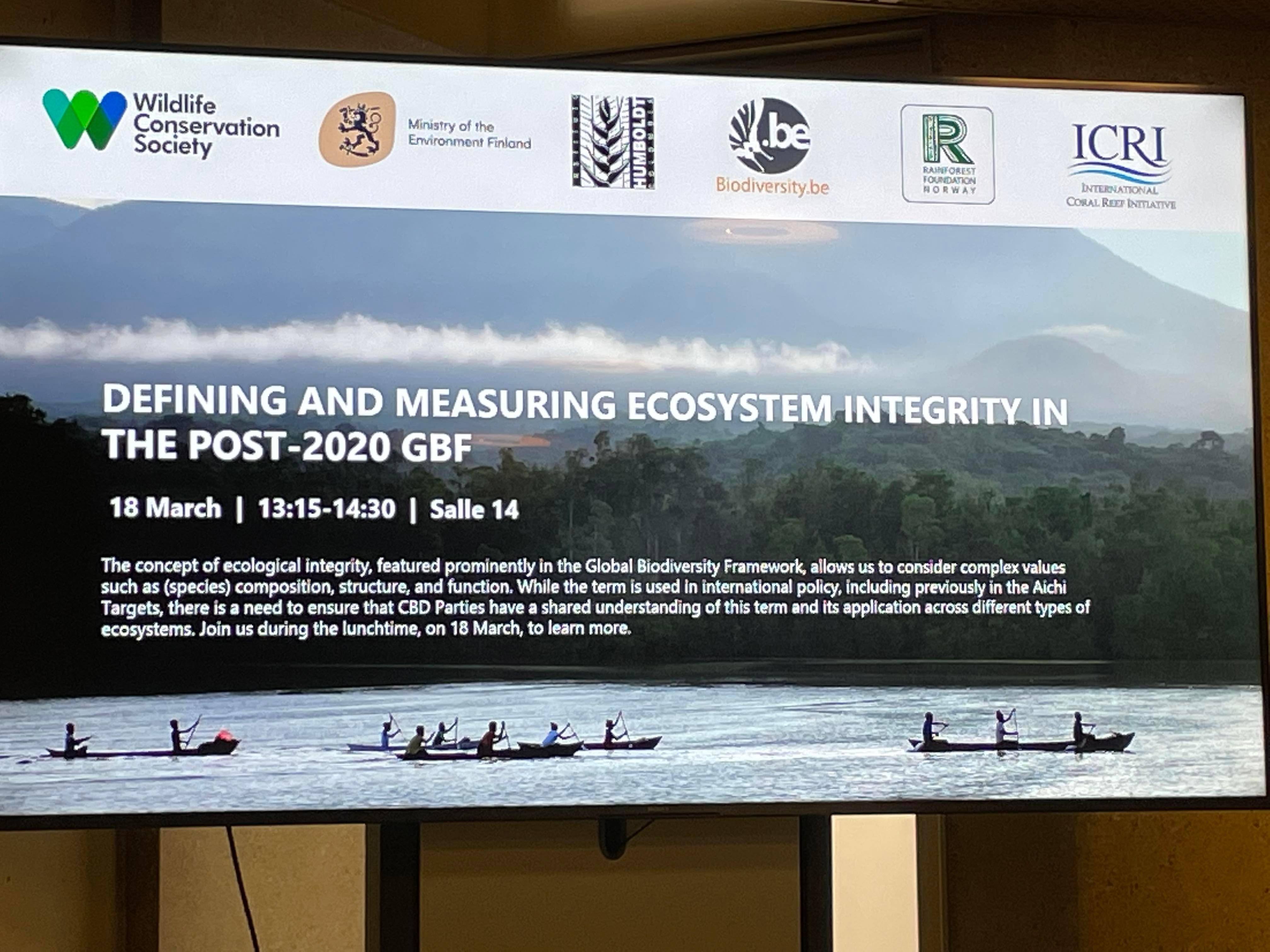 守られてるから、守りたい。この星すべての生命。 | にじゅうまるプロジェクト