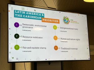 ラテンアメリカ＆カリビアンのユースの12の優先事項（一部）